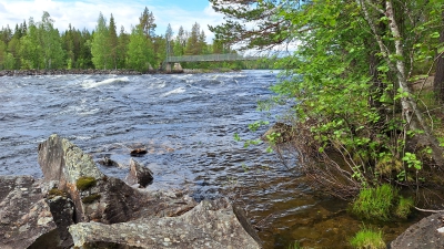 20250619_120136_G.jpg