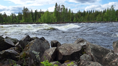 20250619_120141_G.jpg