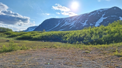 20250623_190114_J.jpg