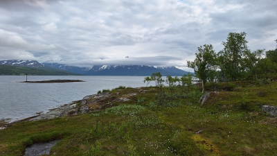 20250626_182442_G.jpg