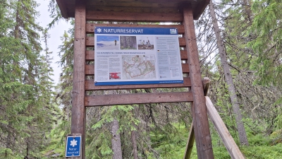 20250707_123500_G.jpg