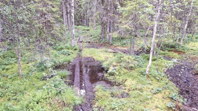 20250707_123802_G.jpg