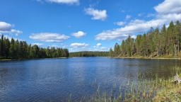 20250622_150837_J.jpg