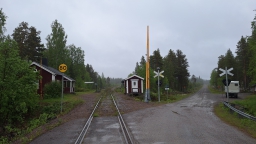 20250623_115811_G.jpg