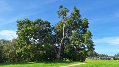 20260908_0007.jpg
