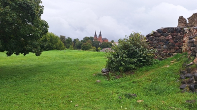 20260910_0005.jpg