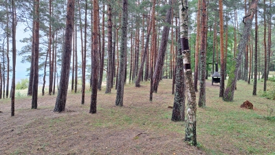 20260913_0018.jpg