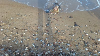 20260916_0009.jpg