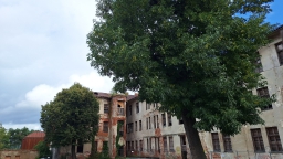 20260905_0005.jpg